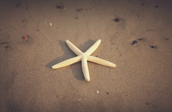starfish symbolism
